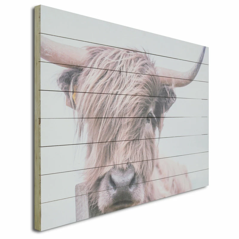 Flash Sale ⨠Gallery 57 Highland Cow Print On Wood 𧨠- Image 2