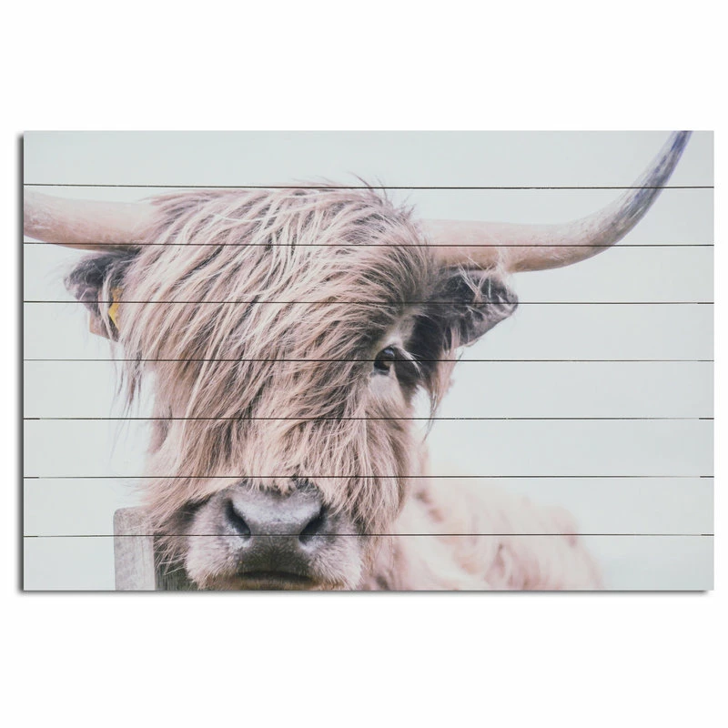 Flash Sale β¨ Gallery 57 Highland Cow Print On Wood π§¨