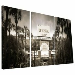 Buy ๐ Paulson Designs University Of Florida Gators Ben Hall Griffin Stadium Canvas Print, 24"x48" ๐