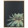 Buy 😉 Uniek "Sylvie Succulent" Canvas Wall Art With Gold Frame, 18"x24" 😉