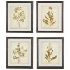 Buy 🌟 Ashley Furniture Industries Dyani Botanical Framed Wall Art Set Of 4 🛒