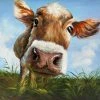 Cheap 👍 ArtMaison Canada 24"x24" Cute Cow Face Canvas Wall Art Print Blue Green Brown ⌛