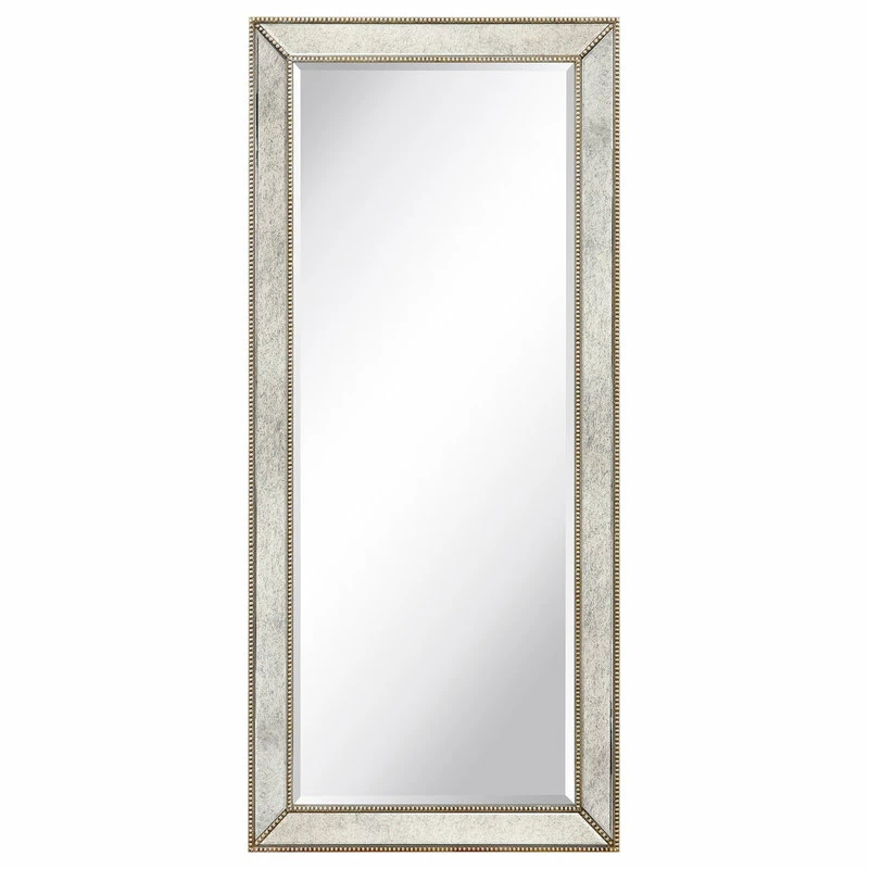 Best reviews of 🥰 Empire Art Direct Champagne Beveled Antique Wall Mirror, 1" Beveled Center, Wood Frame, 24"x54" ✨