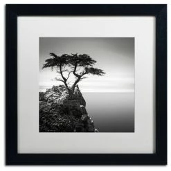 Best reviews of 🥰 Trademark Fine Art 'The Lone Cypress' Matted Framed Canvas Art By Dave MacVicar 🧨