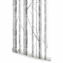 Best Pirce 😉 Accentuwall Birch Tree Wallpaper, Peel And Stick, Gray, 24"x108" 🎉