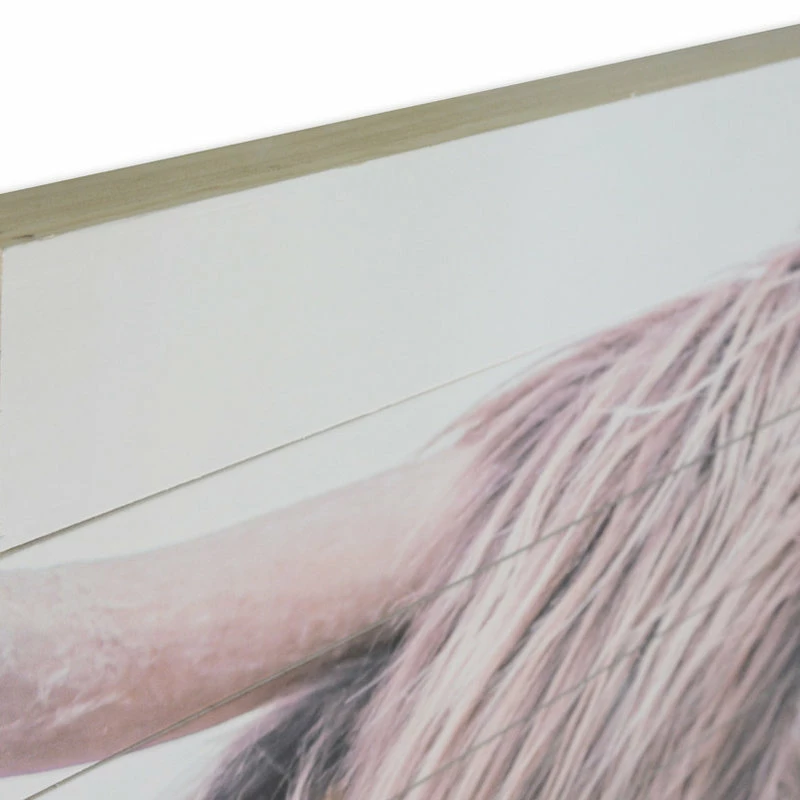 Flash Sale ⨠Gallery 57 Highland Cow Print On Wood 𧨠- Image 3