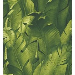 Promo ✨ Wallquest NextWall NW31000 Tropical Banana Leaves Peel & Stick Wallpaper, Green ✔️