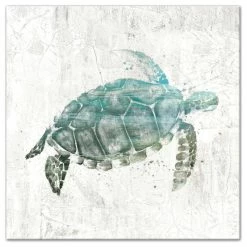 Best Pirce 🔔 DDCG Turquoise Sea Turtle Canvas Wall Art, 24"x24" 👍