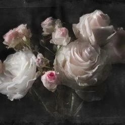 Deals ๐ฅฐ Komar Eternity Wall Mural ๐ฅ