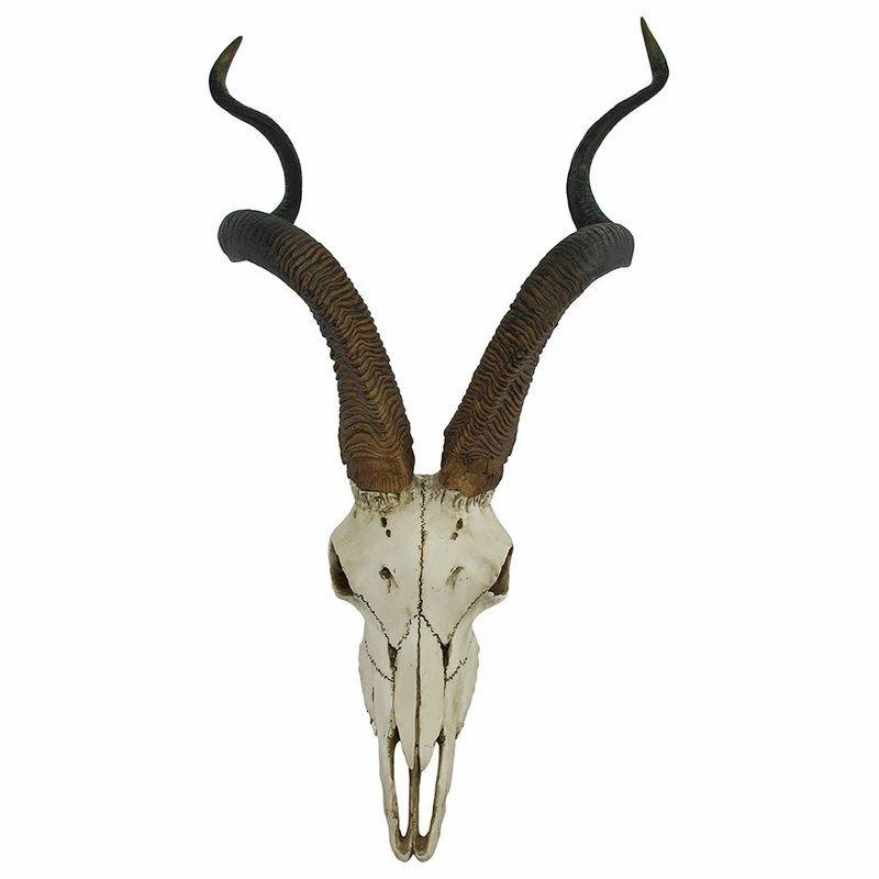 Hot Sale ๐งจ Veronese Design African Kudu Antelope Skull Wall Hanging Cool Twisted Horns ๐คฉ