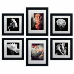 Promo 🎉 Trademark Fine Art Floral Gallery Wall Collection' Multi-Panel Matted Framed Canvas Art Set 🔔
