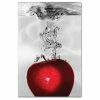 Best reviews of 🧨 Trademark Fine Art 'Red Apple Splash' Canvas Art By Roderick Stevens 😍