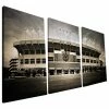 Deals 🥰 Paulson Designs Auburn University Tigers Jordan Hare Stadium Canvas Print, 24"x48" 💯