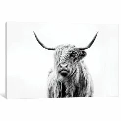 Cheap 🎁 ICanvas "Portrait Of A Highland Cow" By Dorit Fuhg, 40x26x0.75" ✨
