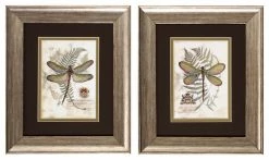 Budget ⌛ PROPAC IMAGES Dragonfly Print, Set Of 2 🎉